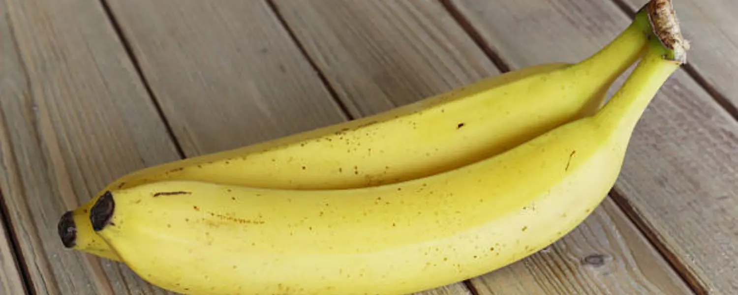 G9 Cavendish Bananas