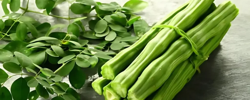Moringa drumstick