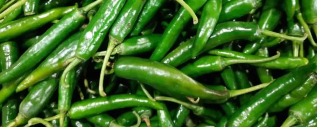 G4 green chillies