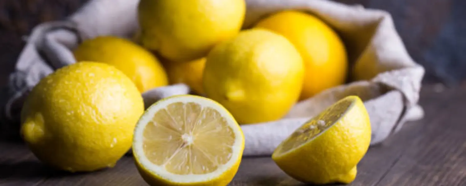 lemon export solution