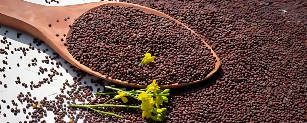 mustard seed