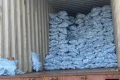 Semi Husked Coconuts