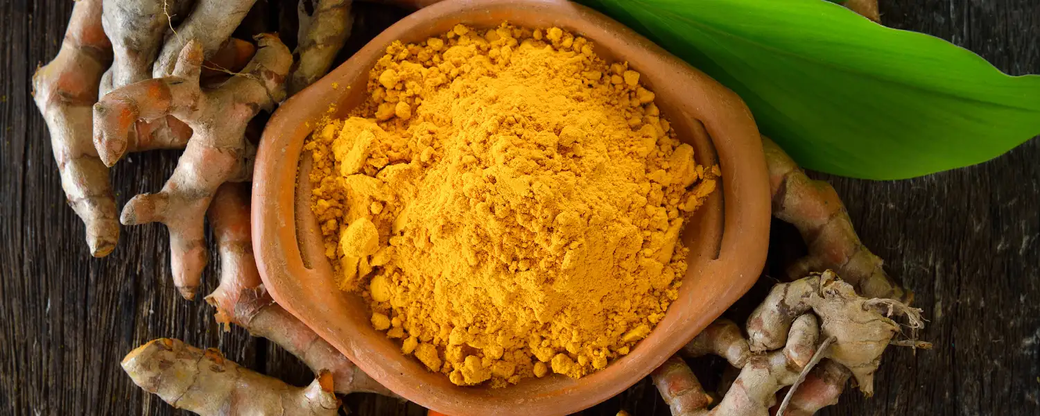 turmeric powder advantages