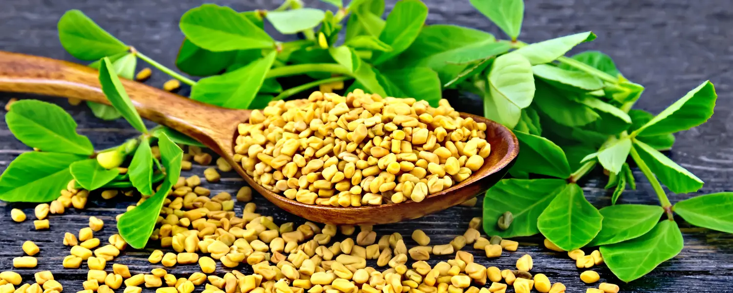 fenugreek oil for hair