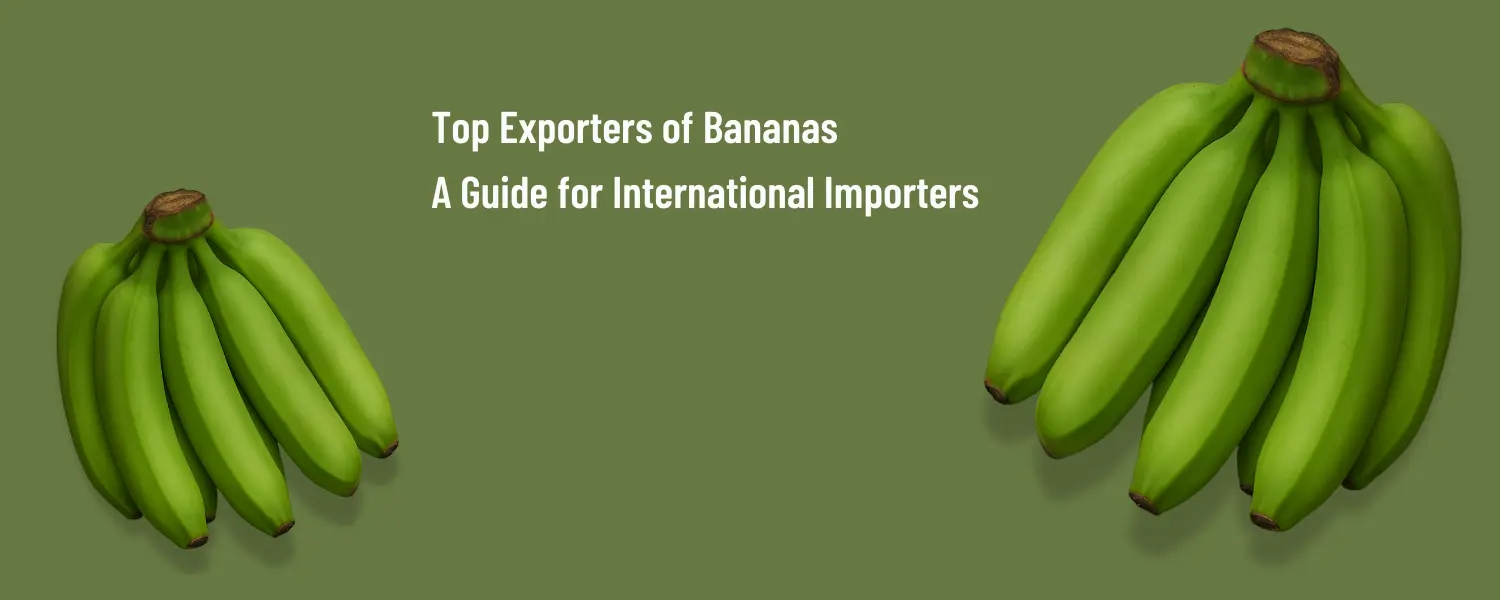 Exporters of bananas
