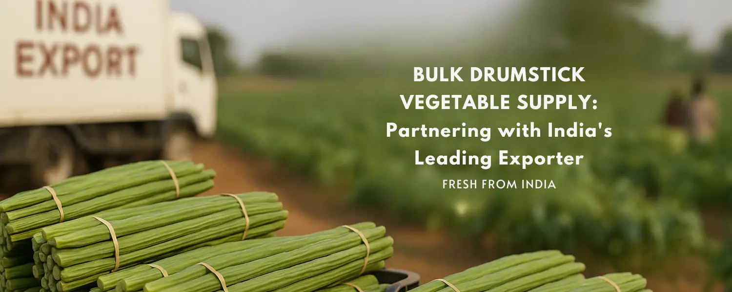 Bulk Drumstick Vegetable