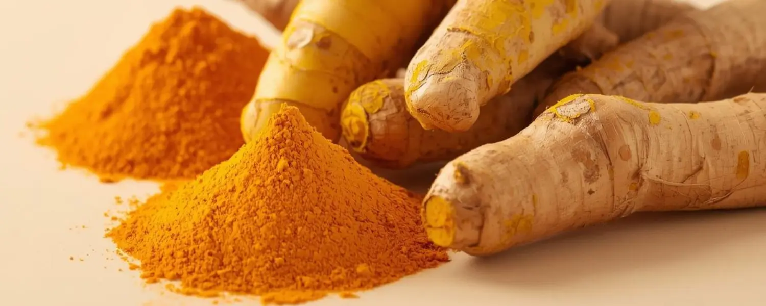export quality turmeric