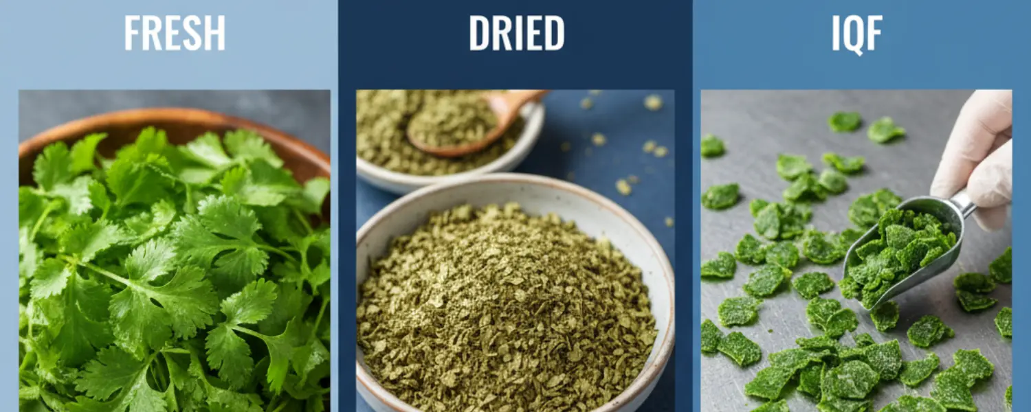 export coriander leaves