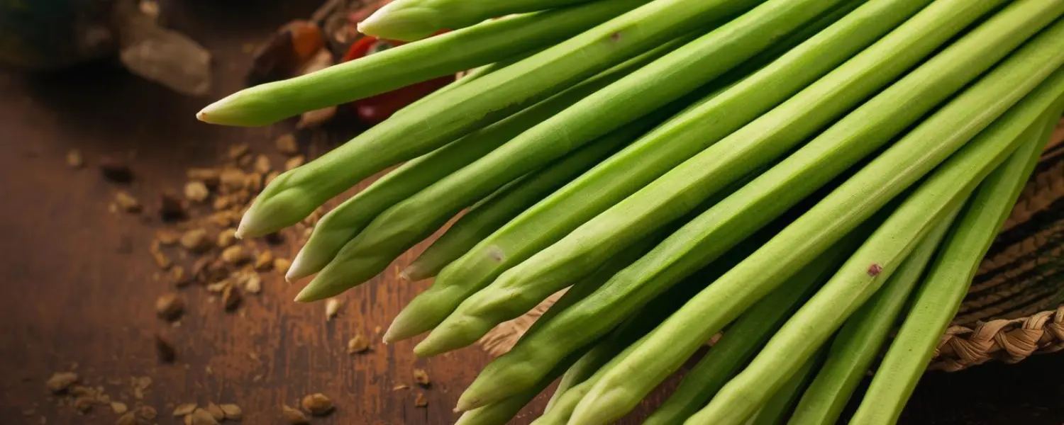 export drumstick from india