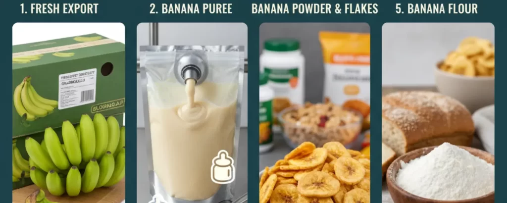 uses of the Cavendish banana