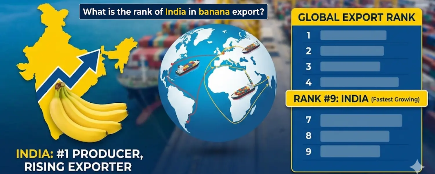 banana export