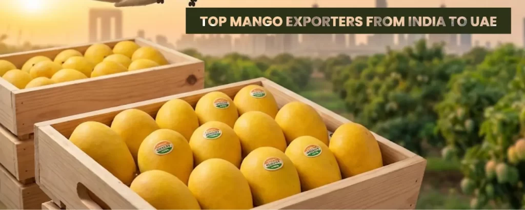 mango exporters from India