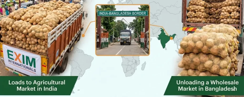 Export Semi Husked Coconuts