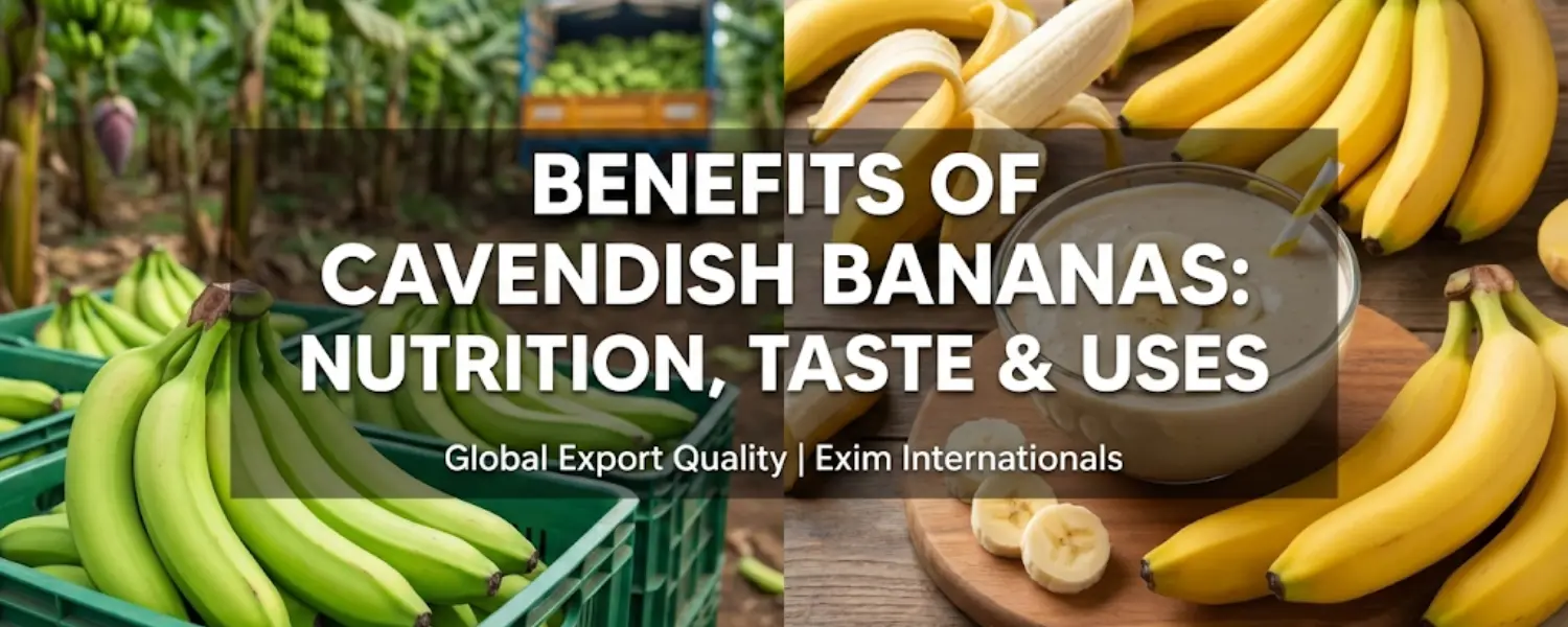 benefits of cavendish bananas