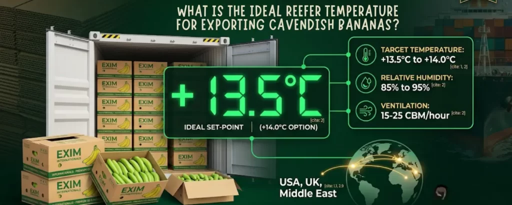 reefer temperature for cavendish bananas