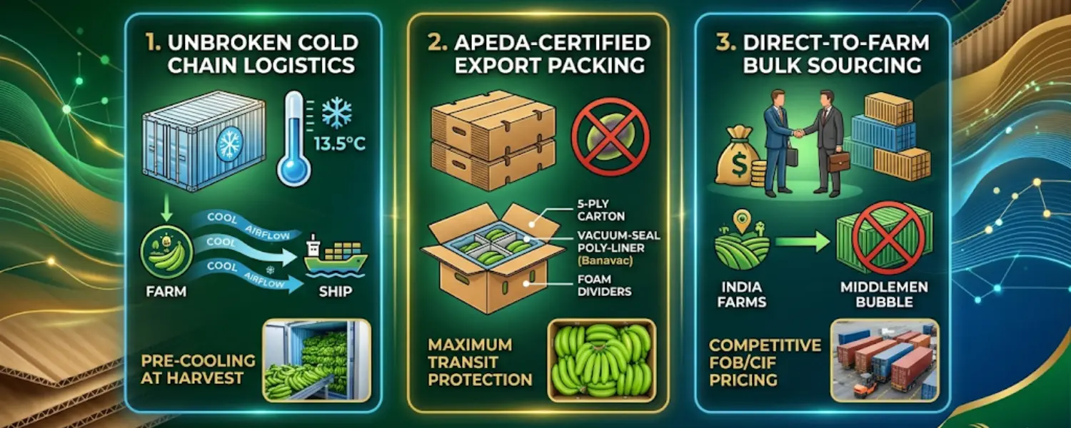 g9 cavendish banana supplier