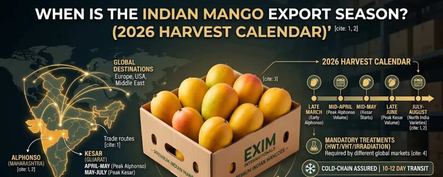 indian mango export season