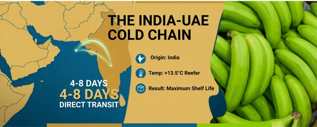import bananas from india to uae