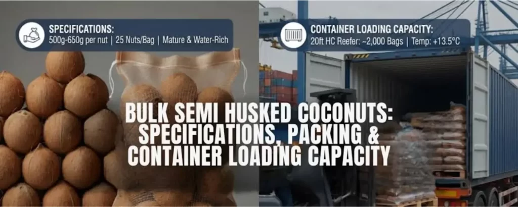 40ft container economics