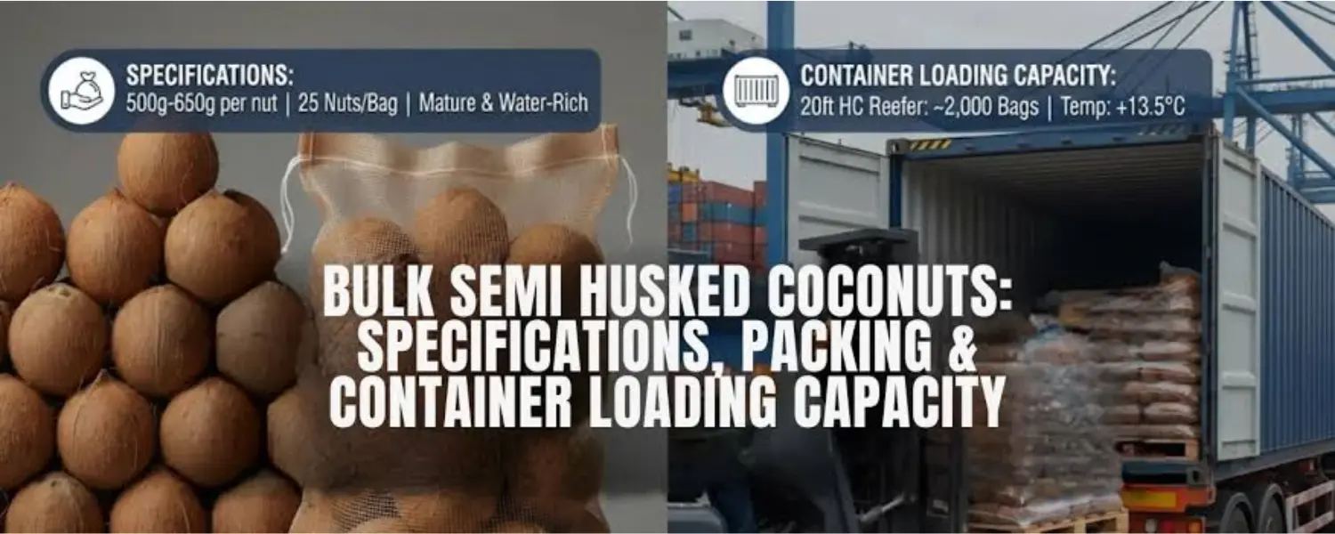 40ft container economics