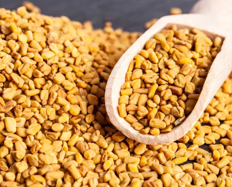 Fenugreek seeds