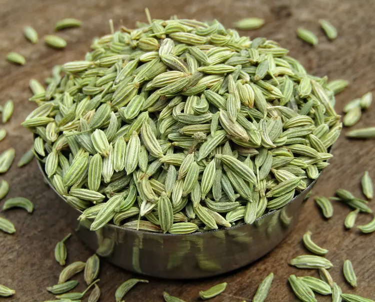 fennel seed